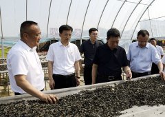 王樹(shù)平、姜長(zhǎng)龍到白石山和紅石林業(yè)公司 調(diào)研強(qiáng)調(diào)深入落實(shí)“雙主業(yè)”發(fā)展戰(zhàn)略 大力推動(dòng)集團(tuán)持續(xù)健康高質(zhì)量發(fā)展